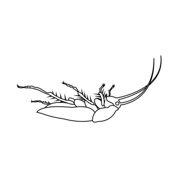 Hamamböceği Simgesi Vektör Illüstrasyon Logosu Tasarımı — Stok Vektör