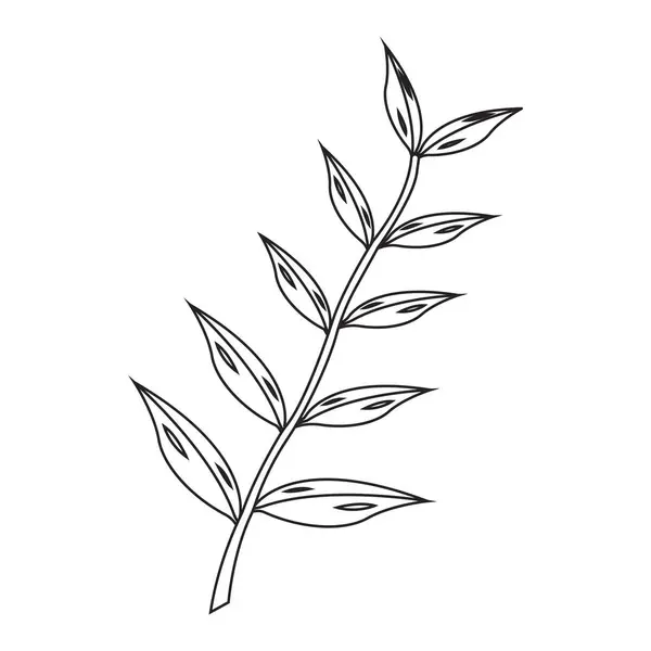 Eukalyptusolja Blad Ikon Vektor Illustration Logotyp Design — Stock vektor