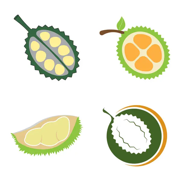 stock vector fresh Durian fruit icon,vector illustration flat design