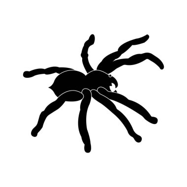 Tarantula simgesi vektör çizimi tasarımı