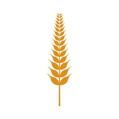 Tarım buğday logosu vektör ikonu tasarımı