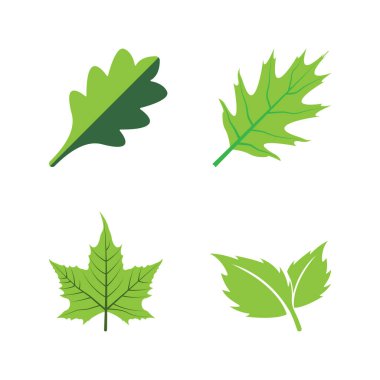 Yaprak logosu vektör illüstrasyon element tasarımı