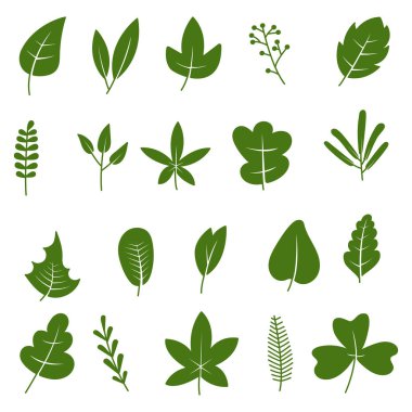 Yeşil yaprak vektör illüstrasyonu koleksiyonu, beyaz arkaplan üzerinde doğa yaprağı simgeleri