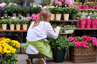 Genç çiçekçi dükkanının önünde sergilenen bitki ve çiçeklerle ilgileniyor. İlgi, iş, meslek, deneyim, iş kadınları, çiçekçilik tutkusu kavramı.