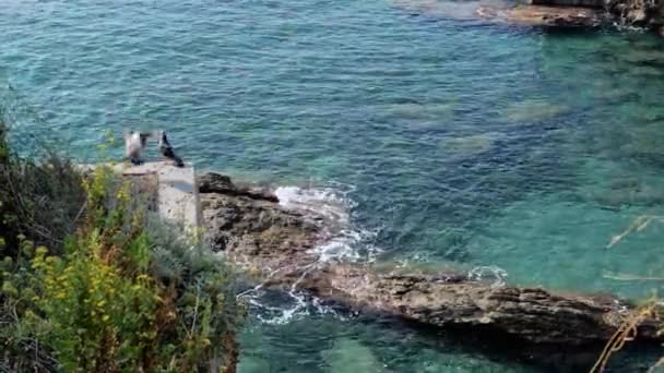 意大利热那亚从 Anita Garibaldi 长廊看 两只鸽子在一堵墙上 在Nervi海岸碧绿的水面之上 实时视频 2023 — 图库视频影像
