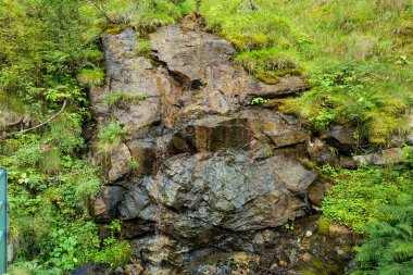 Ceresole Reale, İtalya. Ceresole Gölü yakınlarındaki ormandaki kaynak suları tarafından nemlendirilmiş büyük bir kaya. Doğal orman kaya arka planı. Doğal elementler ve dağ bitkileri kavramı.