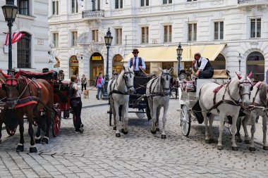 Viyana, Avusturya. Bir yaz günü Michaelerplatz 'ın tarihi merkezini gezmek için şehrin tipik arabacılarından oluşan arabalar. 2023-08-02.