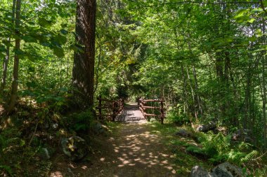 Gressoney, İtalya. Savoy Kalesi 'nin parkında, arka planda tahta bir köprü olan ağaçlarla kaplı ve gölgeli bir yol manzarası. 27 Temmuz 2022.