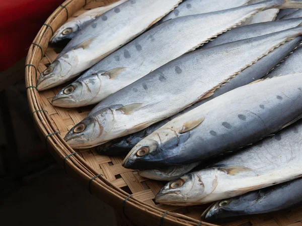 Verse Thaise Tonijn Trays Klaar Voor Verkoop Vismarkt — Stockfoto