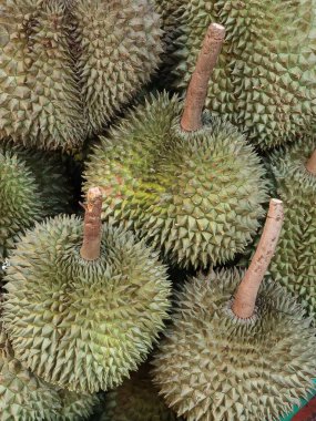Dikenli Durian Meyvelerine yakın çekim.