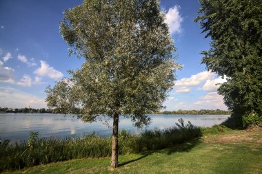 Gün batımında göl ağaçlarla çevrili ve kıyıdan görülüyor.