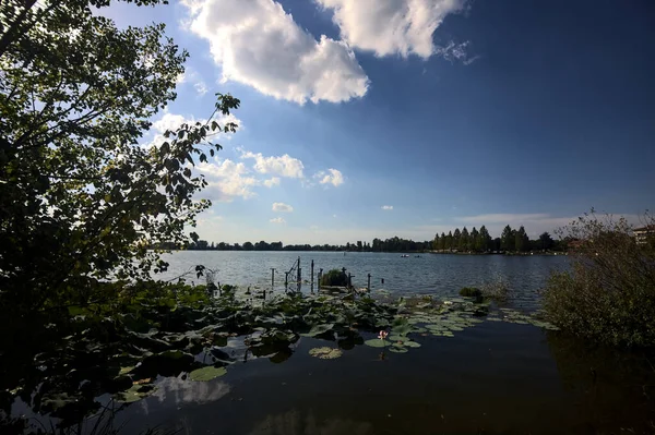 stock image Lake at sunset framed by trees and seen from the shore