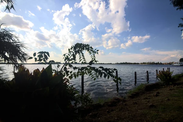 雲のある晴れた空に湖を囲む植物と木 — ストック写真