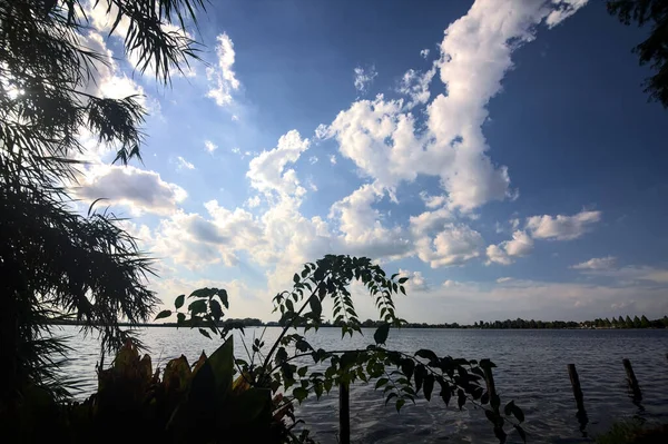 Pflanzen Und Ein Baum Umrahmen Einen See Einem Sonnigen Himmel — Stockfoto