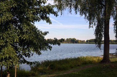 Gün batımında göl kıyıdaki ağaçlarla çevrili.