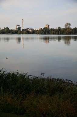 Göldeki sürat teknesi ve uzaklardan görünen bir orman.