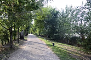 Gün batımında göl kıyısında bir parkta yol