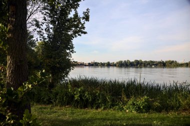 Gün batımında göl kıyıdaki ağaçlarla çevrili.