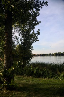 Gün batımında göl kıyıdaki ağaçlarla çevrili.