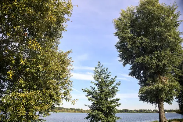 호수가해 나무들로 둘러쌓여 — 스톡 사진