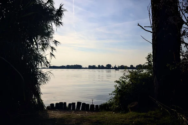 Sjön Vid Solnedgången Inramad Träd Stranden — Stockfoto