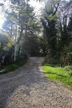 Sonbaharda sisli ve güneşli bir günde yokuş yukarı