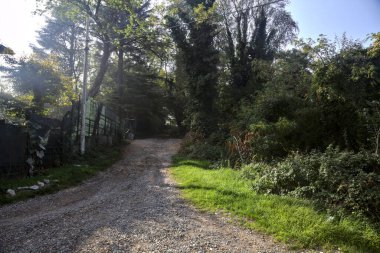Sonbaharda sisli ve güneşli bir günde yokuş yukarı