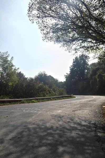 かすんで晴れた日に山の頂上の森の中の道路 — ストック写真