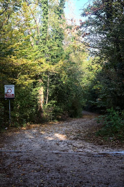 Absteigender Feldweg Herbst Wald — Stockfoto