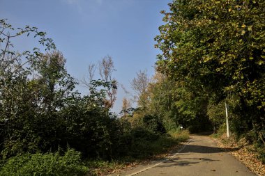 Yamacın yanındaki ormanda yol ve arka plan olarak açık bir gökyüzü.