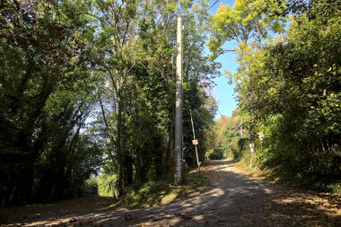 Sonbaharda bir dağda, ormanın ortasında bir yolda kıvrıl.