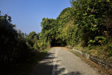Arka planda açık gökyüzü olan bir koruluğa giden bir yokuşun yanındaki yol