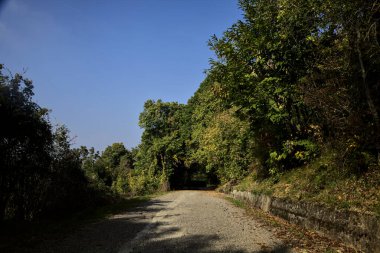 Arka planda açık gökyüzü olan bir koruluğa giden bir yokuşun yanındaki yol