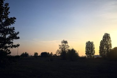 Gün batımında bir tarlada ağaçlı köy yolu