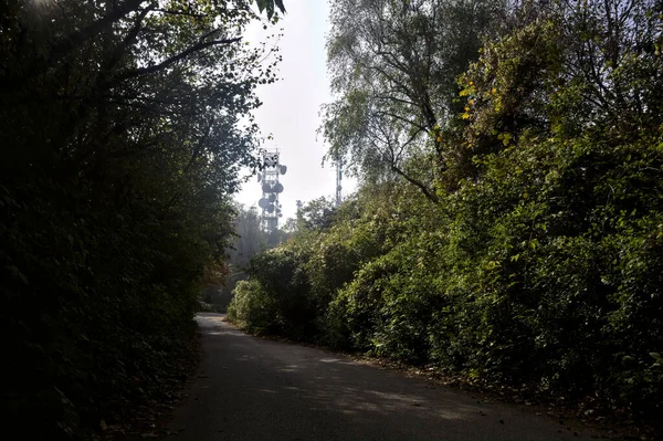 Camino Sombra Bosque Con Árboles Enmarcando Antenas Distancia Día Soleado —  Fotos de Stock