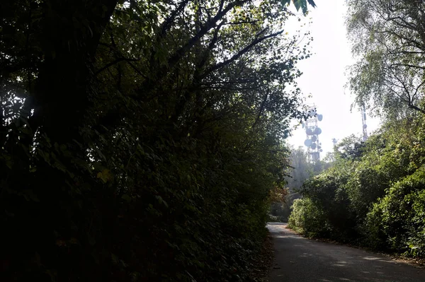 Sonbaharda Güneşli Bir Günde Ağaçların Çerçevelediği Bir Ormanda Gölgede Yol — Stok fotoğraf