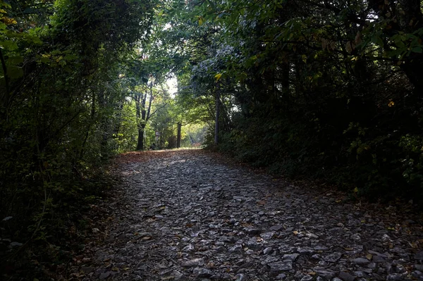 Uphill Unbefestigte Straße Mit Umgefallenen Blättern Auf Dem Boden Einem — Stockfoto