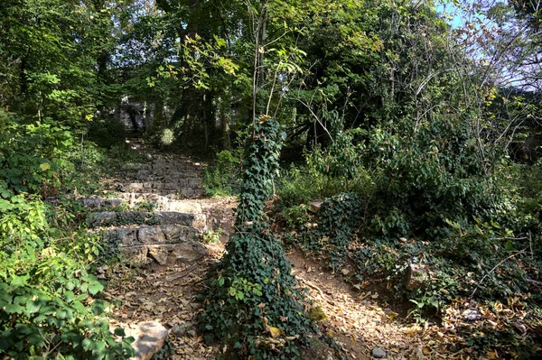 Trilha Com Escadas Pedra Uma Encosta Uma Floresta Outono — Fotografia de Stock