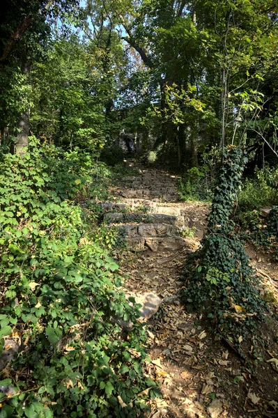 Sentier Avec Escalier Pierre Sur Une Pente Dans Une Forêt — Photo