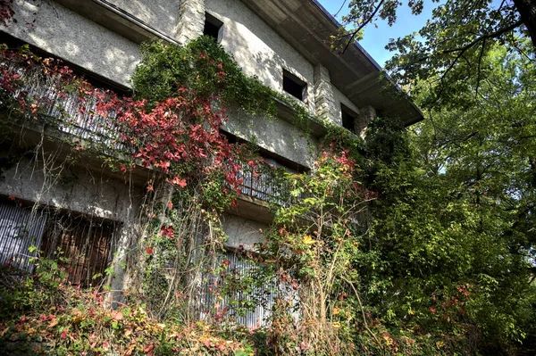 Fassade Eines Verlassenen Gebäudes Wald Auf Dem Balkon Wächst Efeu — Stockfoto