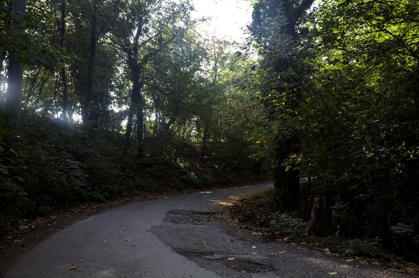 Kurve Einer Straße Inmitten Eines Waldes Auf Einem Berg Herbst — Stockfoto