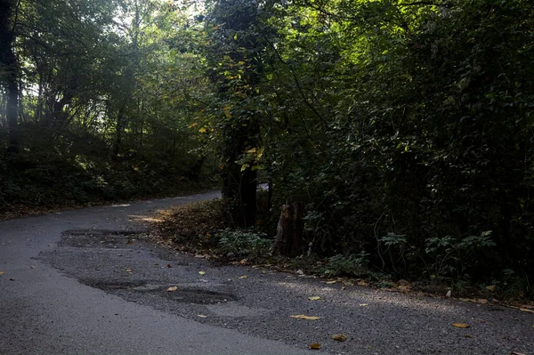 Kurve Einer Straße Inmitten Eines Waldes Auf Einem Berg Herbst — Stockfoto