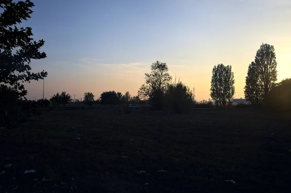 Landsväg Med Träd Ett Fält Vid Solnedgången — Stockfoto