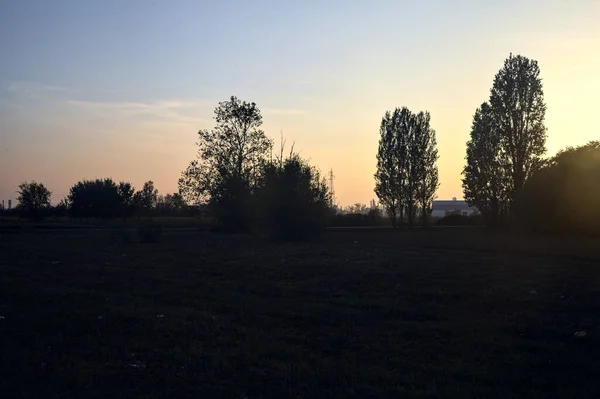 夕暮れ時に畑に木がある田舎道 — ストック写真