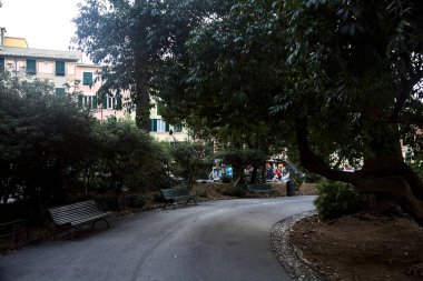 Bulutlu bir günde küçük bir parkta sıralı yol