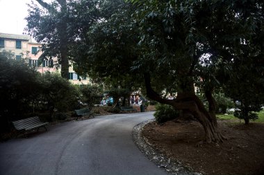 Bulutlu bir günde küçük bir parkta sıralı yol