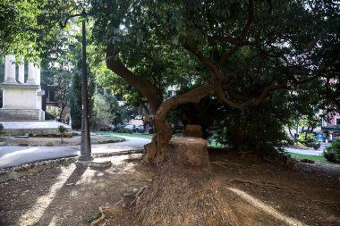 Bulutlu bir günde küçük bir parkta sıralı yol