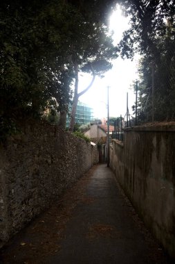 Bulutlu bir günde, ağaçlar ve bitkilerle dolu taş duvarlar arasında bir ara sokağın girişinde.