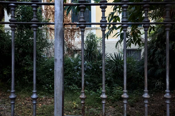 Garden of an abandoned mansion seen through a gate