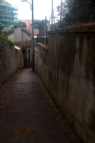 stock image Entrance of an alley between stone walls with plants and trees on a cloudy day